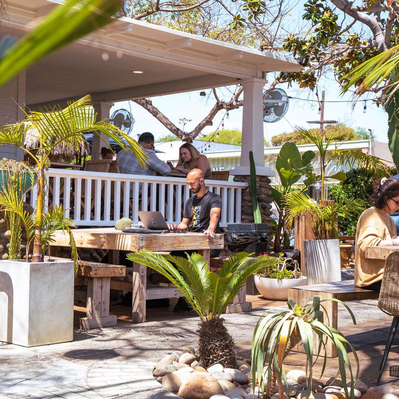 Palmy's Outdoor Patio - Study Area.