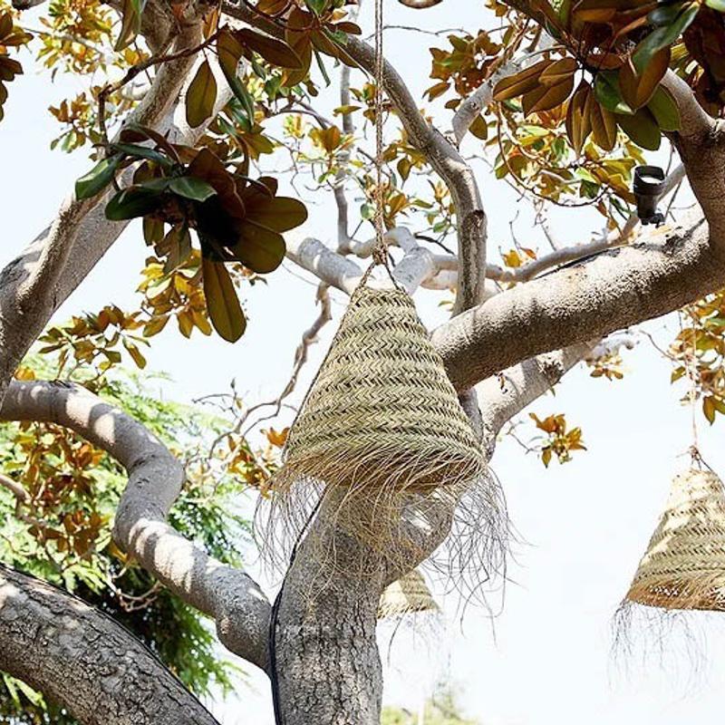 Patio, seagrass hanging pendant lights on a tree.