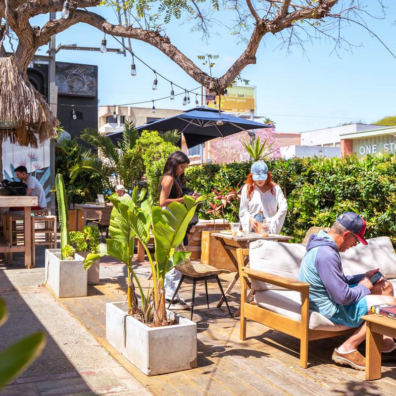 Palmy's Outdoor Patio - Perfect for Coffee Dates and Study Sessions.